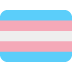 🏳️‍⚧️ transgender flag display on Twitter